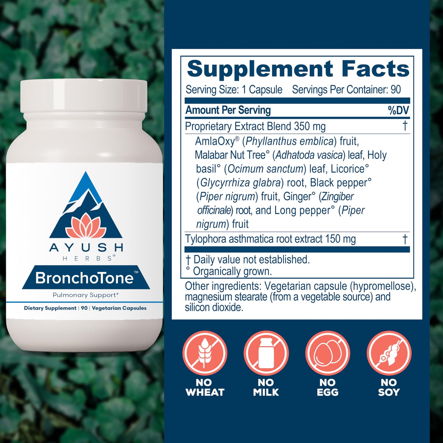 Ayush Herbs Bronchotone - Bronchial Support, Respiratory and Immune-Support Support Supplement for Women & Men, Adults, Pulmonary Care Supplement - 90 Vegetarian Capsules (1 Count)