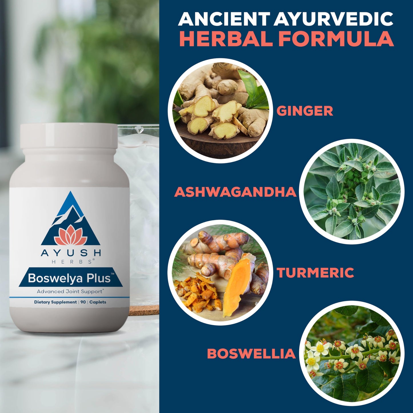 Ayush Herbs Boswelya Plus - Glucosamine Chondroitin Joint Support Supplement, Turmeric Muscle Support for Men & Women, Joint Care with Curcumin - 90 Vegetarian Capsules (1 Count)