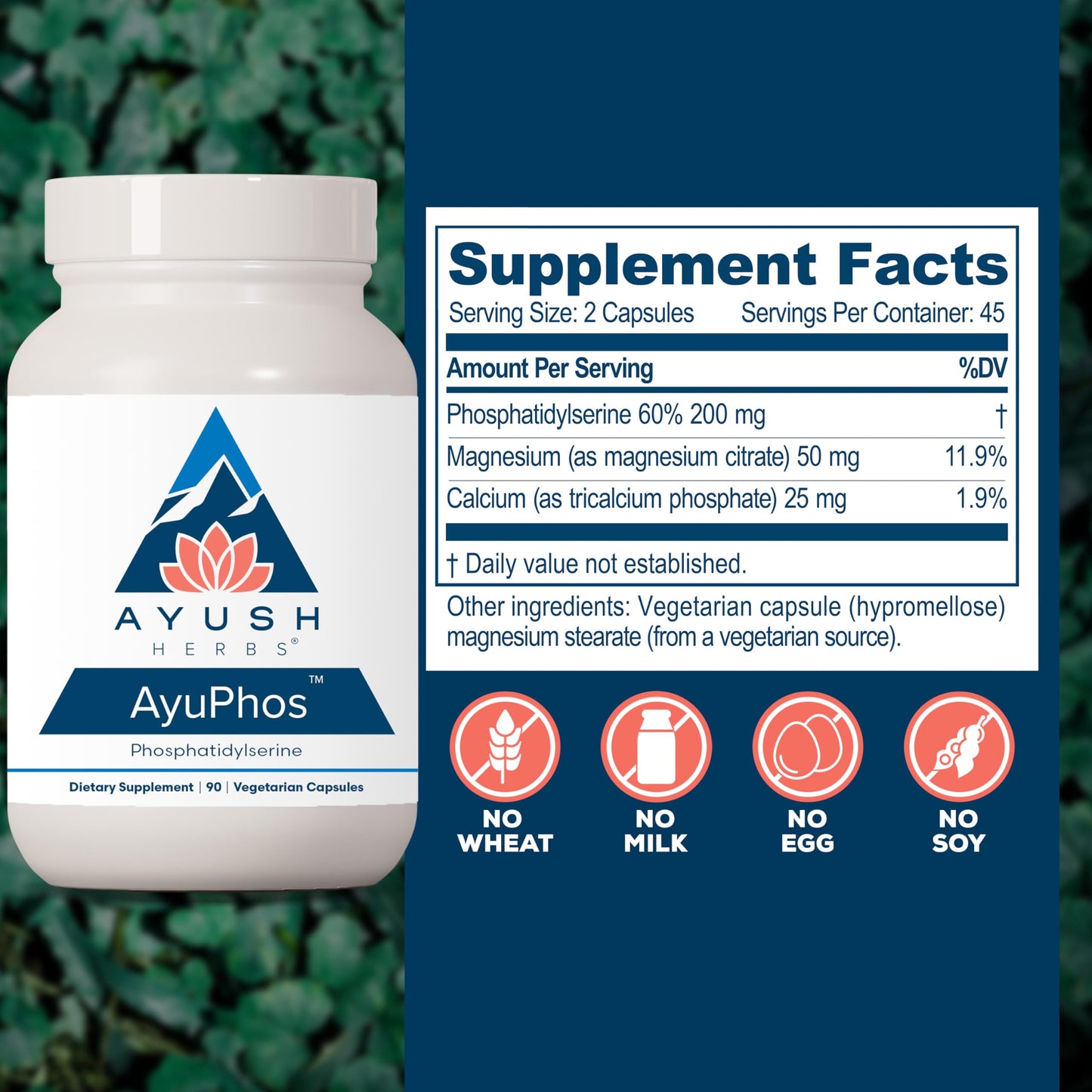 Ayush Herbs AyuPhos - Phosphatidylserine Supplement for Men & Women, Soy-Free Phosphatidyl Serine, Brain, Memory, & Cognitive Support for Adults, 200mg Per Pill - 90 Vegetarian Capsules (1 Count)