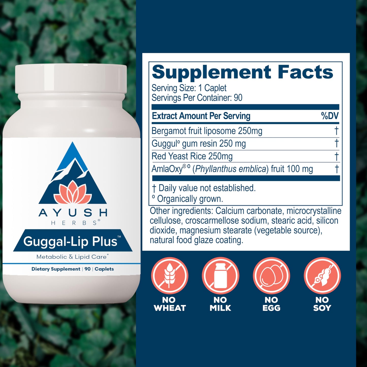Ayush Herbs Guggal-Lip Plus - Metabolic Vitamins for Women & Men, Daily Pill, Pure & Natural Metabolic Health Supplement with Guggul - 90 Vegetarian Caplets (1 Count)