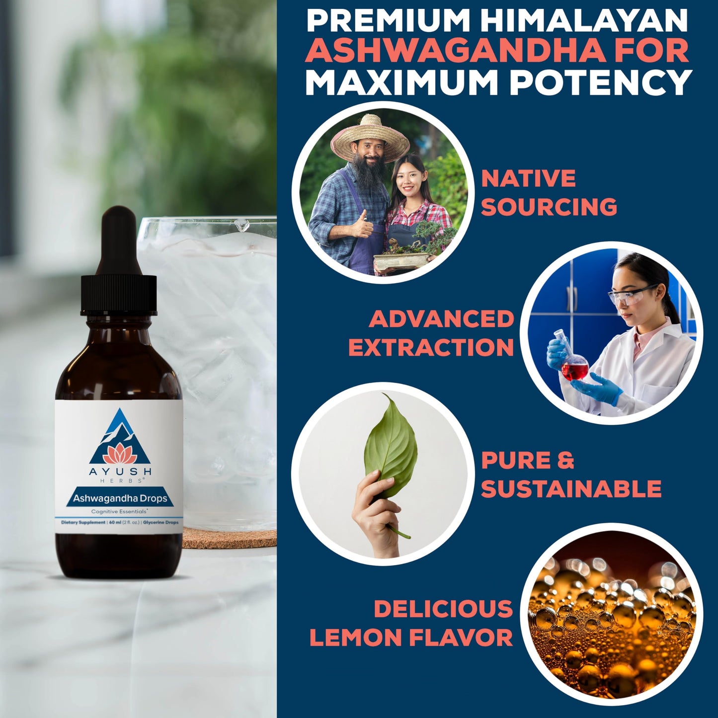 Ayush Herbs Ashwagandha Drops - Ashwagandha Alcohol-Free Drops for Adults, Calming Daily Supplement for Focus & Attention with Organic Ashwagandha, Lemon Flavor - 2 Fl Oz (80 Servings)