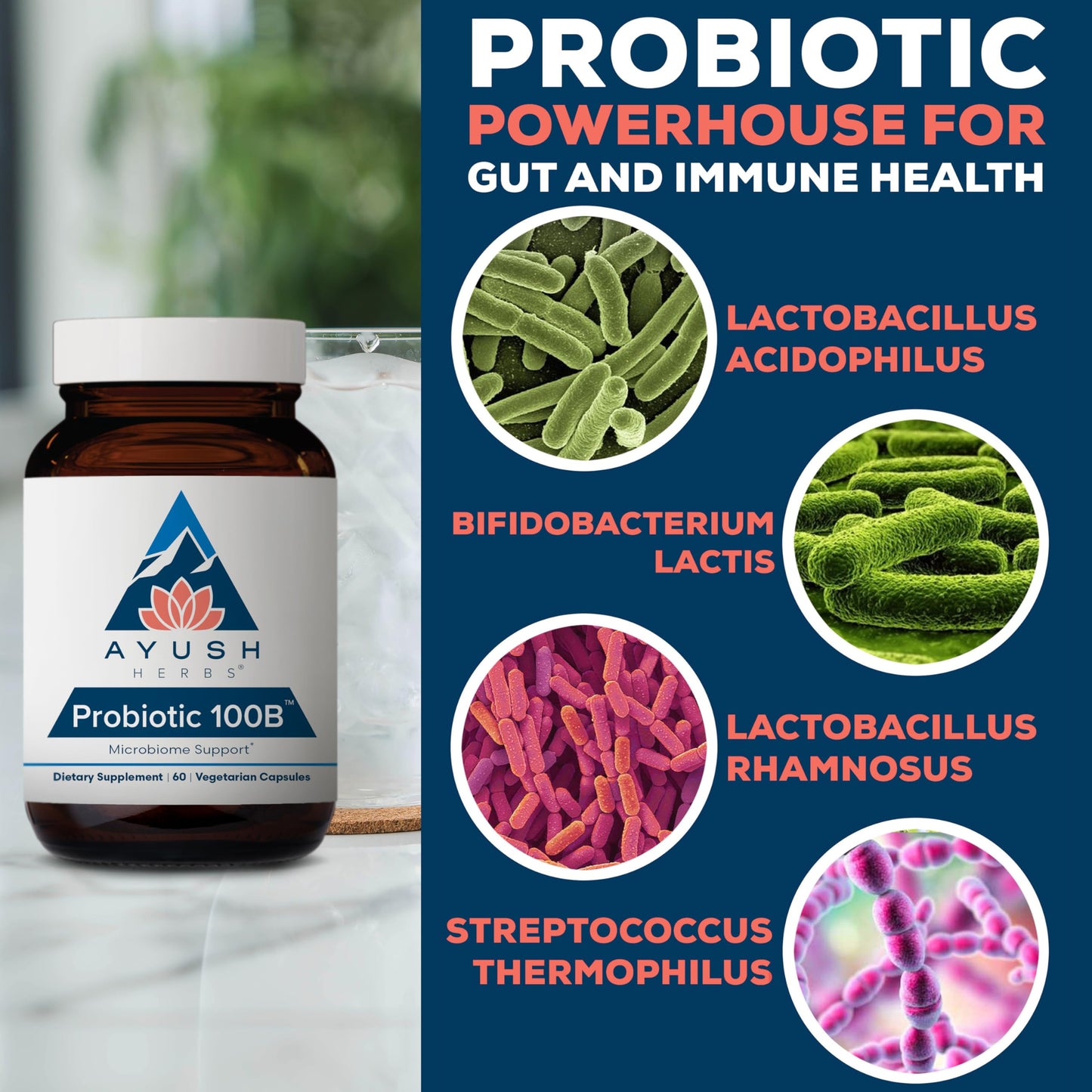 Ayush Herbs Probiotic 100B - Probiotics for Women, Probiotics for Men, Prebiotics and Probiotics for Digestive Health, Gas Relief, Gut Microbiome Balance - 60 Vegetarian Capsules (1 Count)