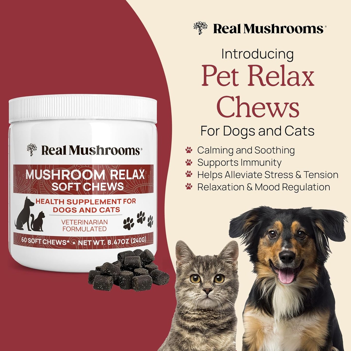 Real Mushrooms Calming Chews for Dogs - Cat Dog Treats w Reishi Lions Mane, Dogs, Relaxation, Bites Pet, 60ct