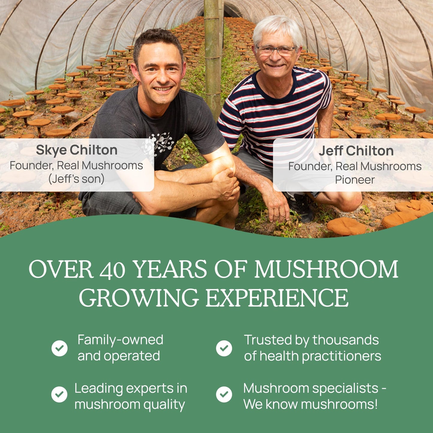 Real Mushrooms 5 Defenders Powder - Organic Mushroom Extract w/Chaga, Shiitake, Maitake, Turkey Tail, & Reishi - Mushroom Supplement for Brain, Focus, & Immune Support - Vegan, Non-GMO, 100 Servings