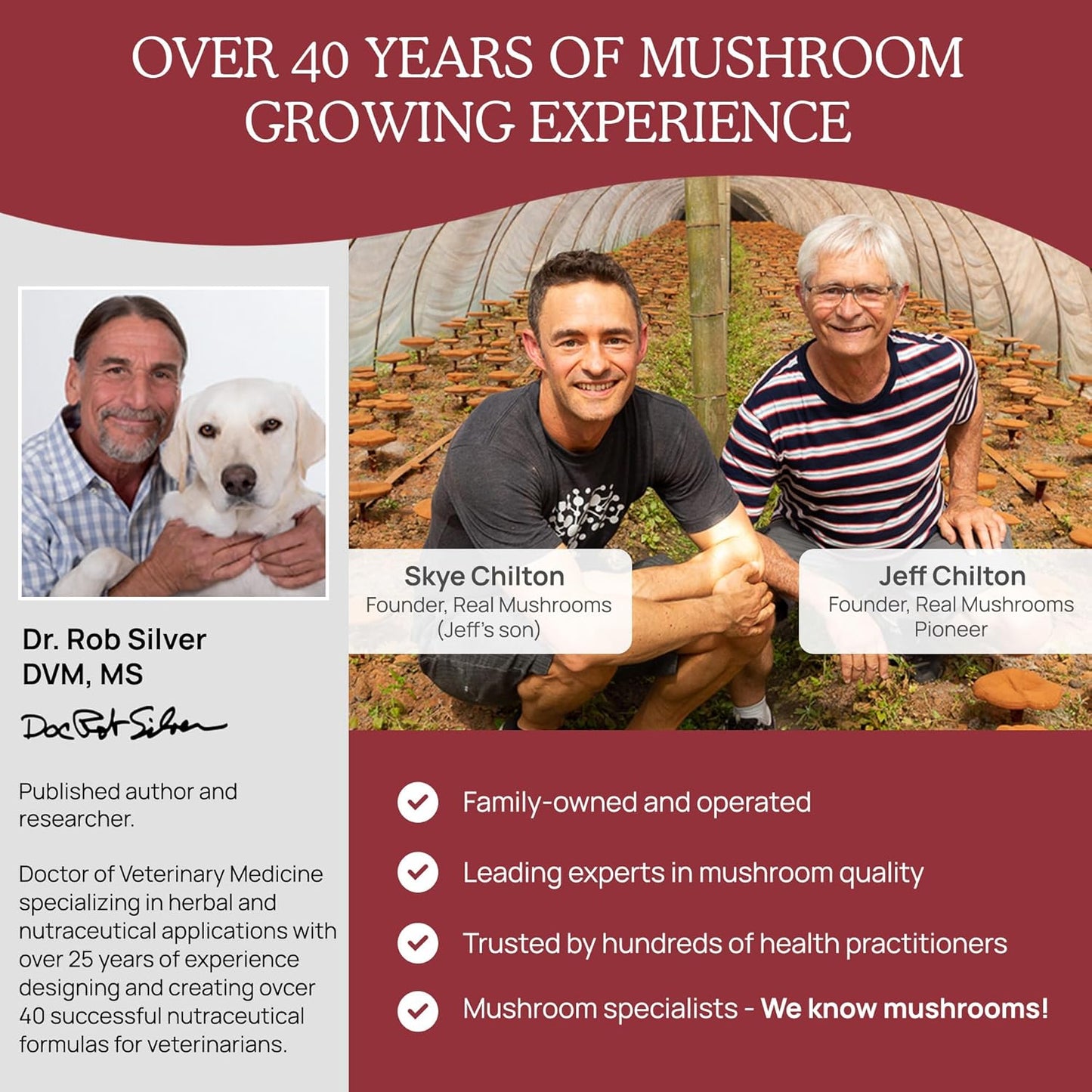 Real Mushrooms Calming Chews for Dogs - Cat Dog Treats w Reishi Lions Mane, Dogs, Relaxation, Bites Pet, 60ct