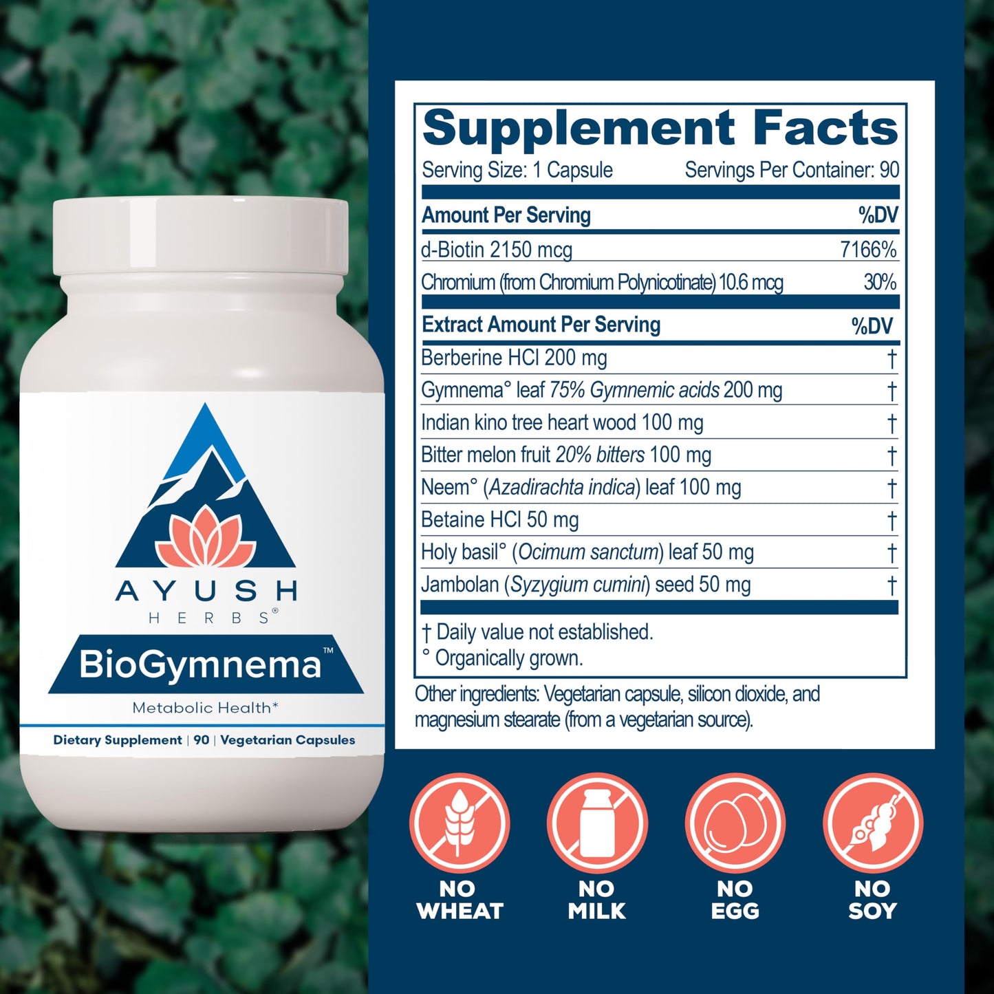 Ayush Herbs BioGymnema - Metabolic Vitamin & Herb Blend, Metabolic Health Supplement for Women & Men with Biotin, Berberine, Bitter Melon & Gymnema, Nutrient Support - 90 Vegetarian Capsules (1 Count)