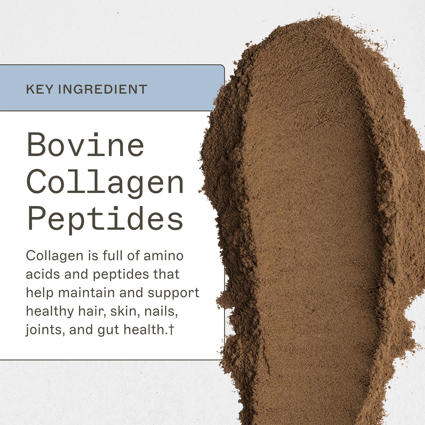 Paleo Protein Powder - Double Chocolate