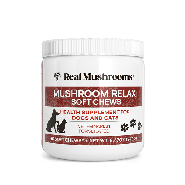Real Mushrooms Calming Chews for Dogs - Cat Dog Treats w Reishi Lions Mane, Dogs, Relaxation, Bites Pet, 60ct
