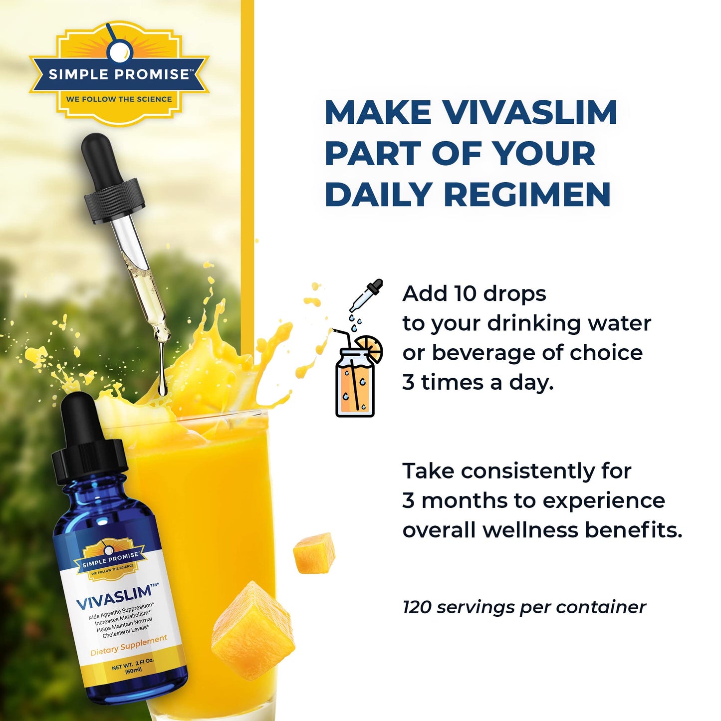 Simple Promise - VivaSlim - Natural Liquid Drops with African Mango, 2 fl oz