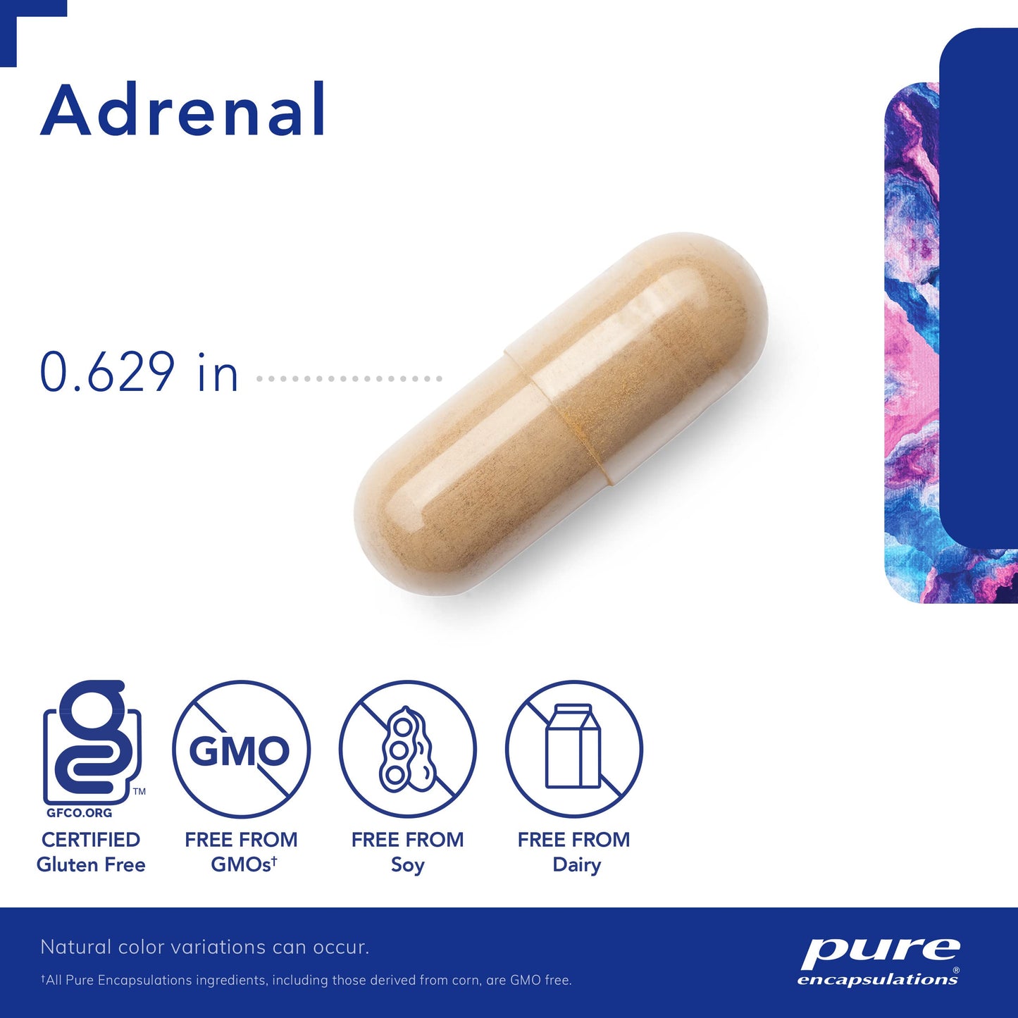 Pure Encapsulations Adrenal Cortex Supplement - 60 Capsules