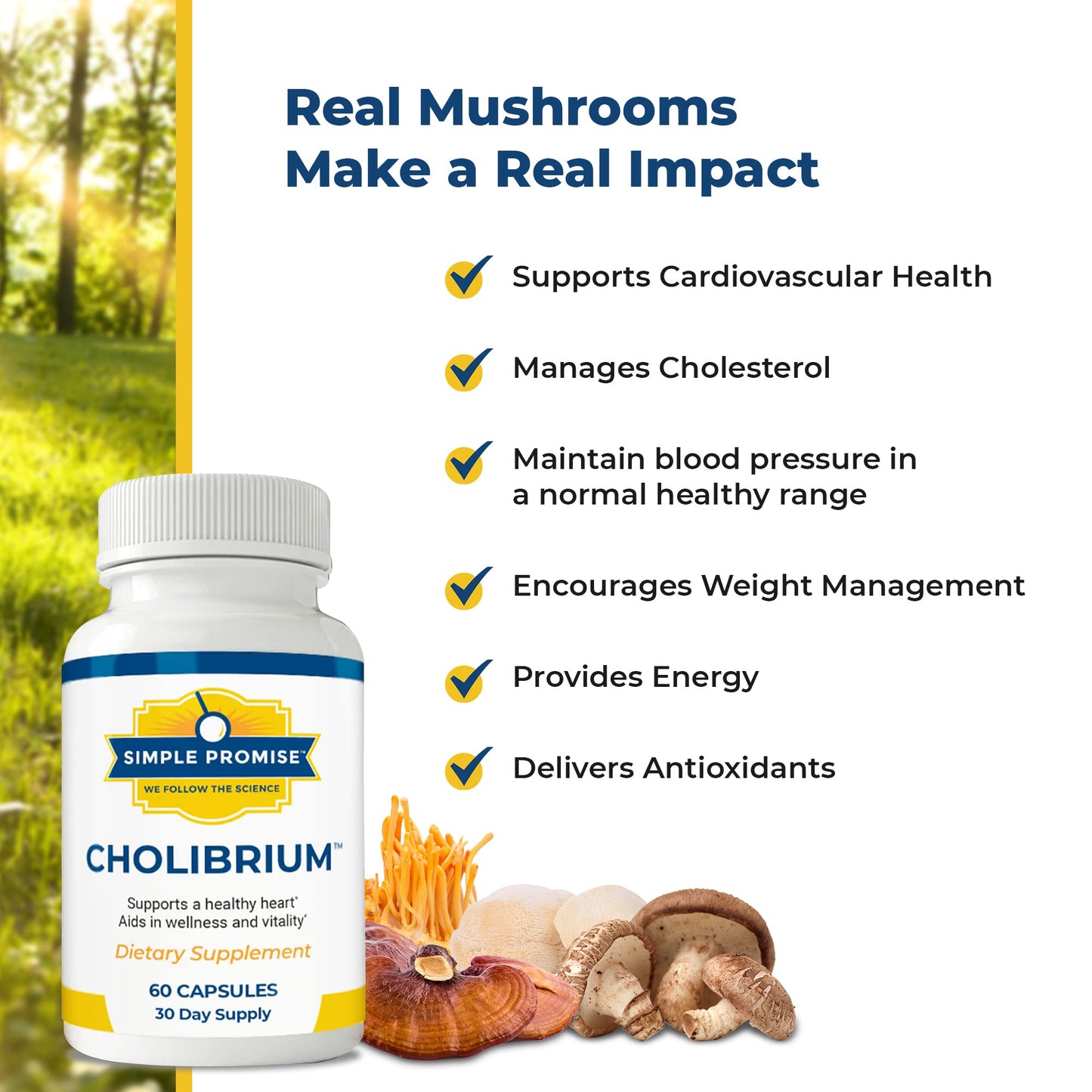 Simple Promise - Cholibrium - Mushroom Supplement with Lions Mane - Heart and Cholesterol Support - 60 Capsules