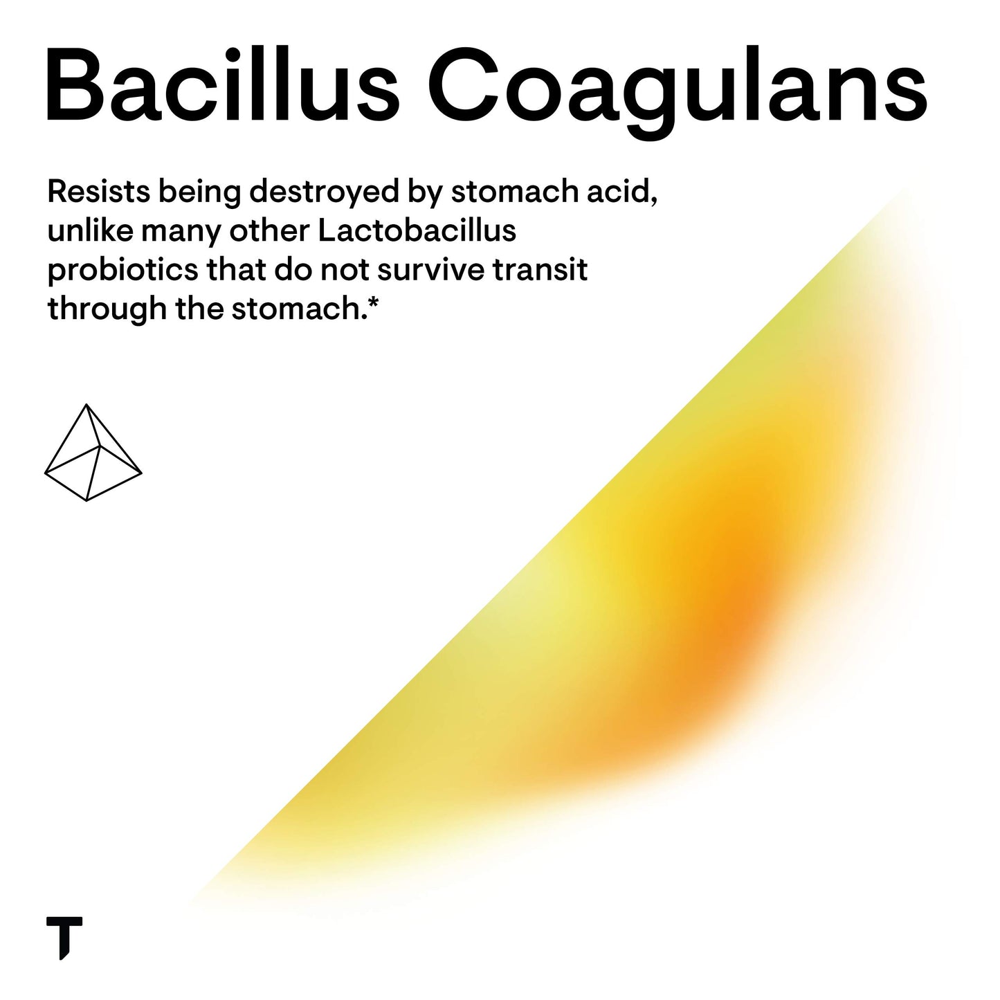 Thorne Bacillus Coagulans Probiotic - 60 Capsules