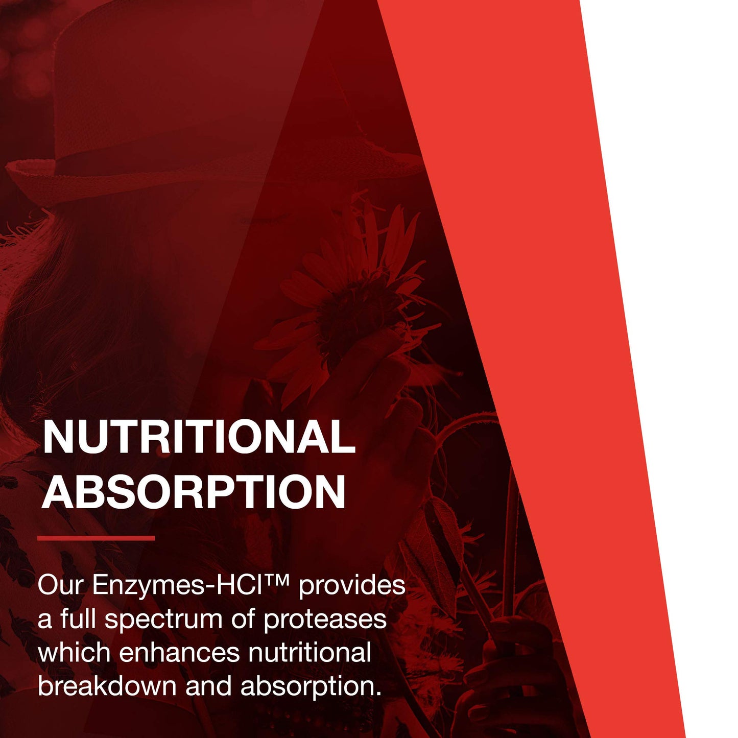 Protocol Enzymes-HCl - Betaine HCl and Digestive Enzymes with Bromelain - 120 Caps
