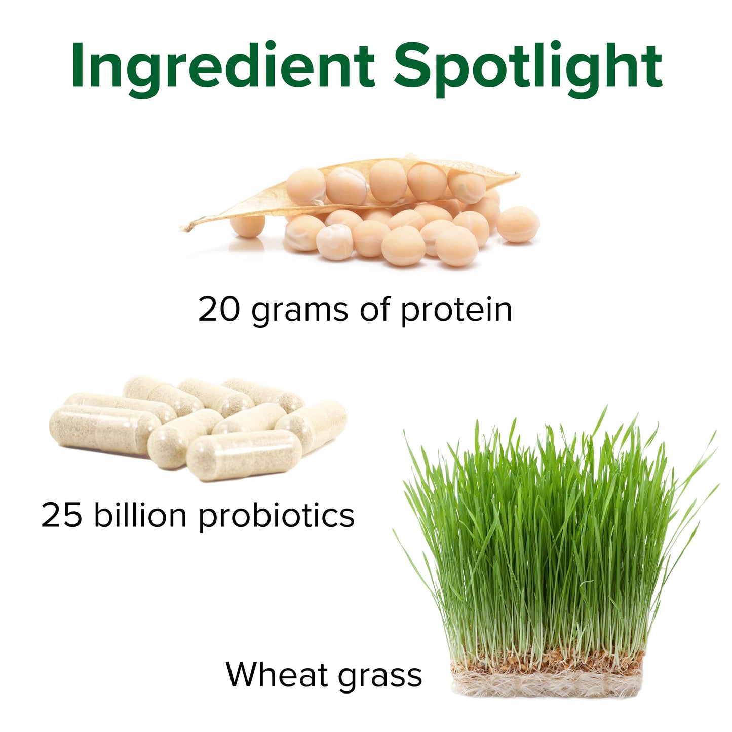 Vibrant Health, Maximum Vibrance, Complete Vegan Meal Shake with Plant-Based Protein
