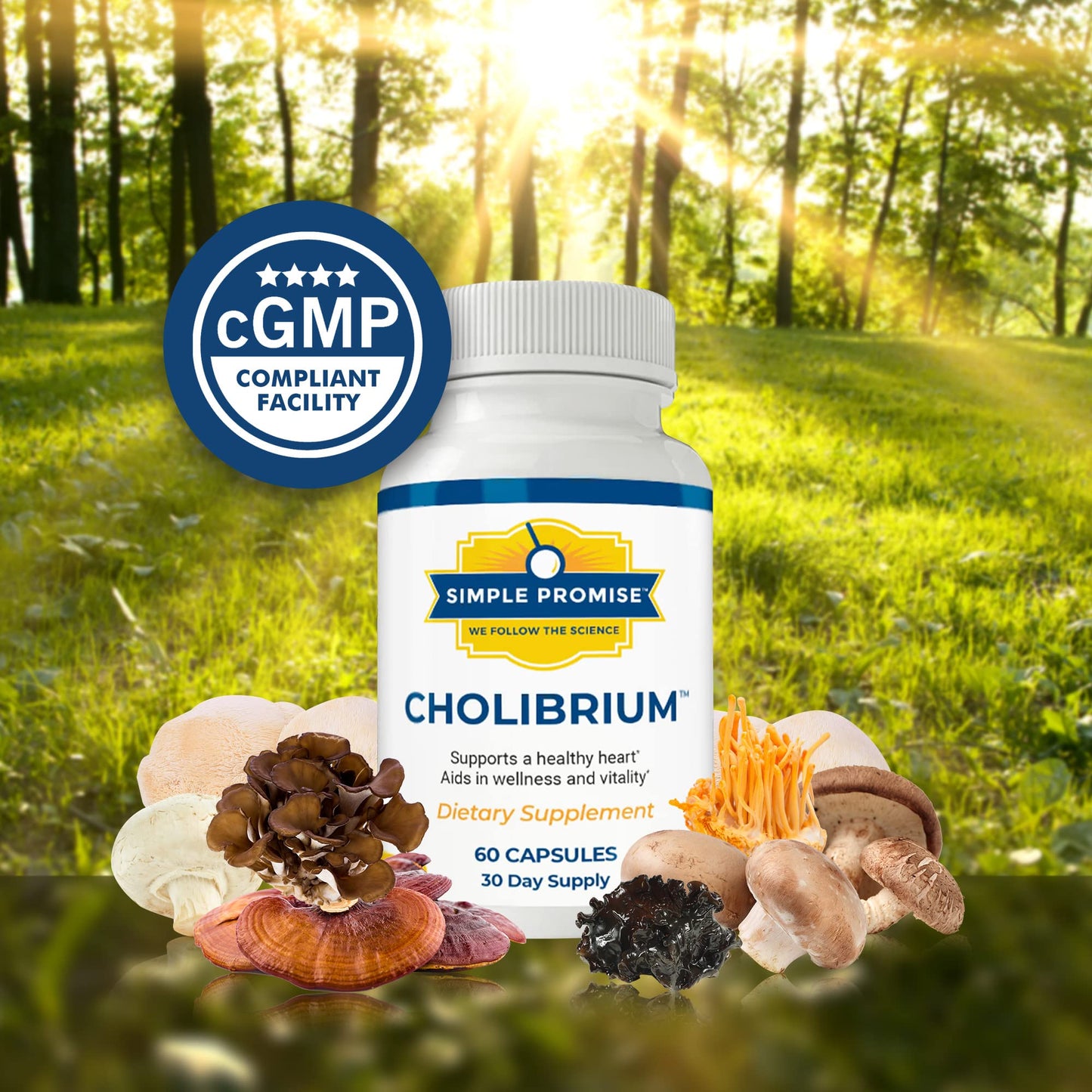 Simple Promise - Cholibrium - Mushroom Supplement with Lions Mane - Heart and Cholesterol Support - 60 Capsules