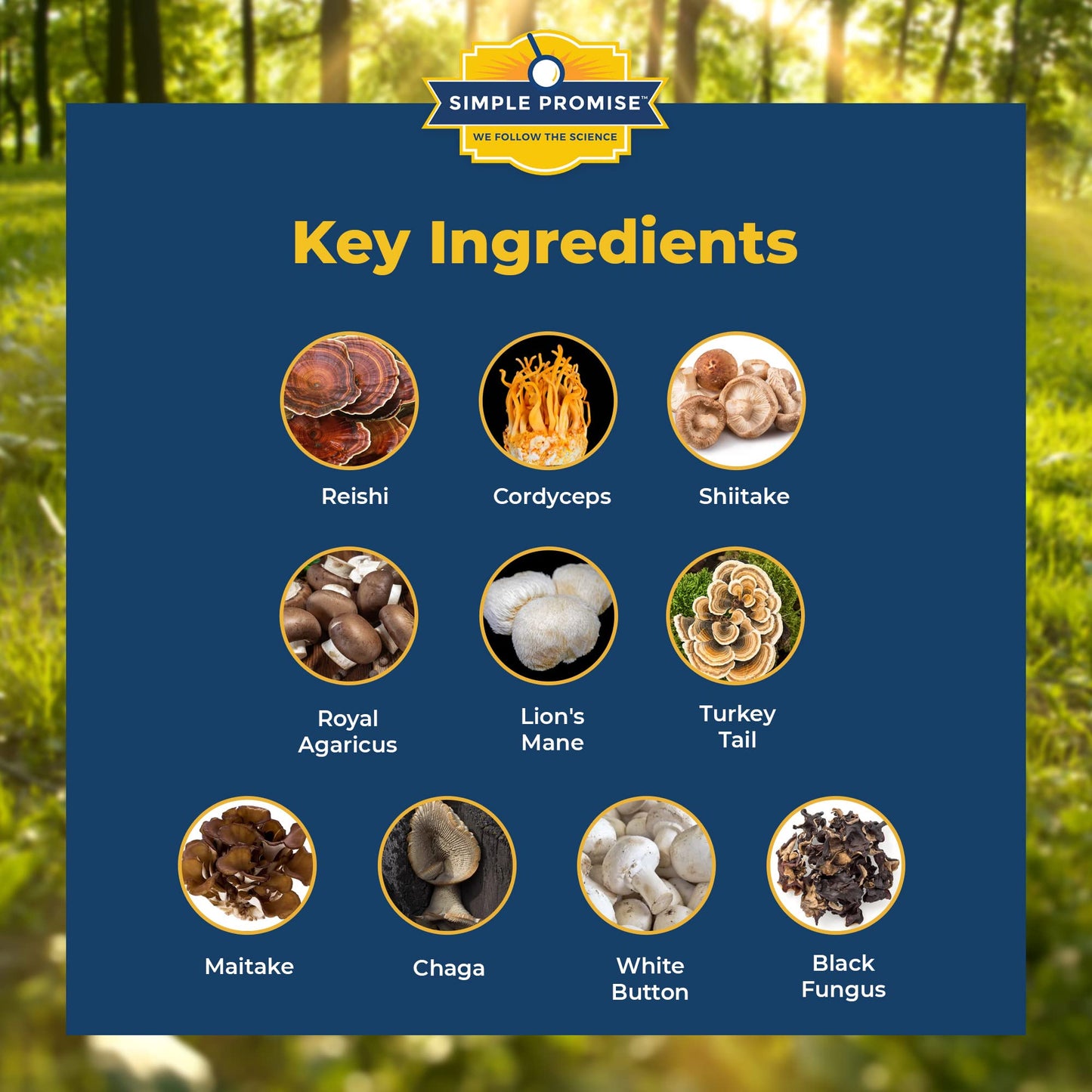 Simple Promise - Cholibrium - Mushroom Supplement with Lions Mane - Heart and Cholesterol Support - 60 Capsules
