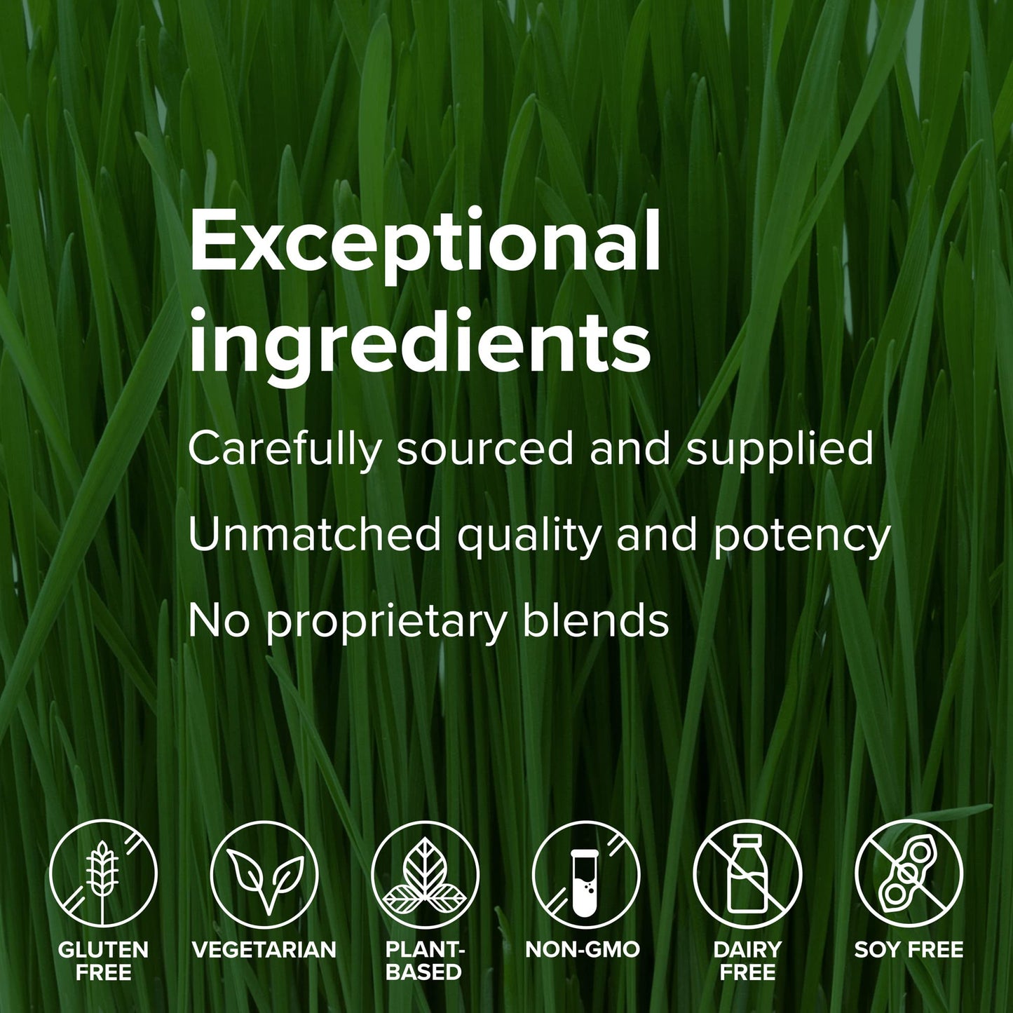 Vibrant Health, Maximum Vibrance, Complete Vegan Meal Shake with Plant-Based Protein