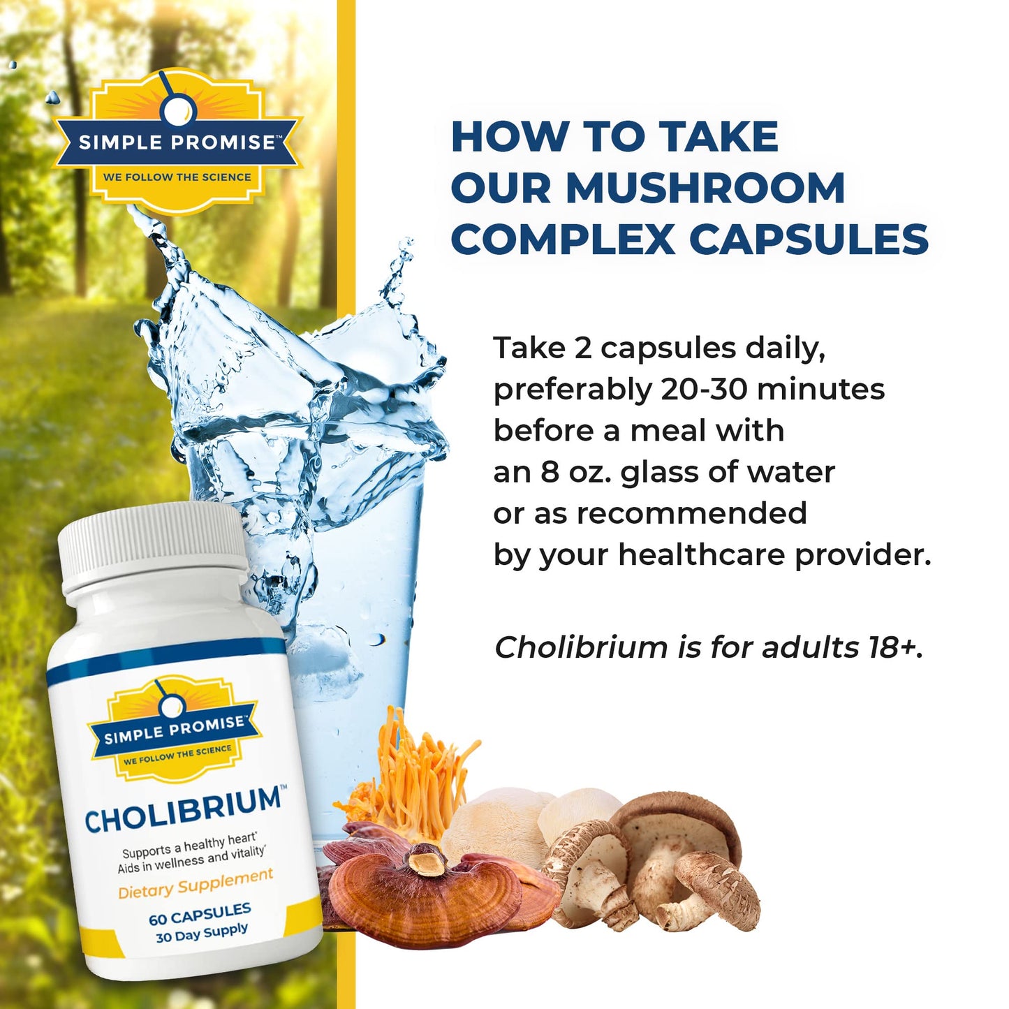Simple Promise - Cholibrium - Mushroom Supplement with Lions Mane - Heart and Cholesterol Support - 60 Capsules