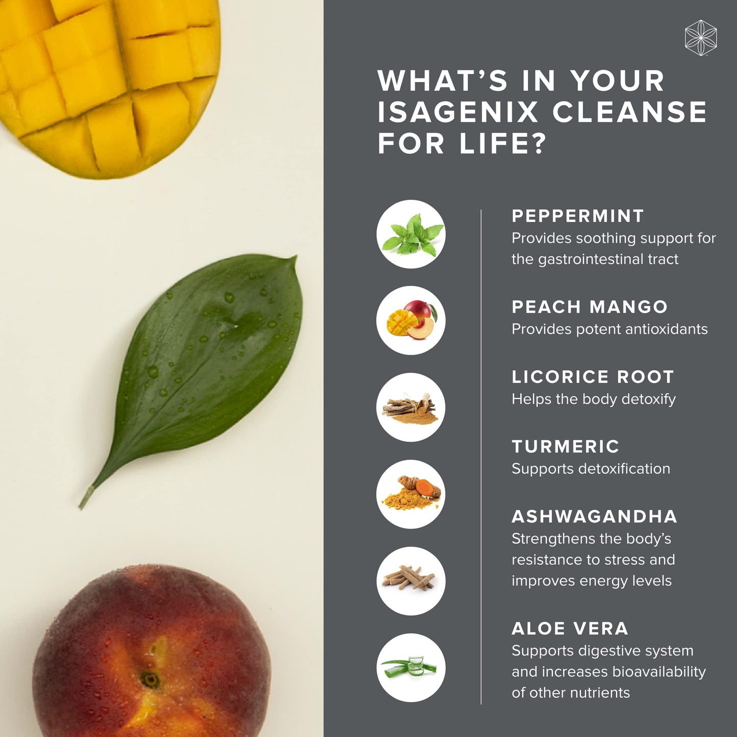 Isagenix Cleanse for Life - Peach Mango (96 Grams)
