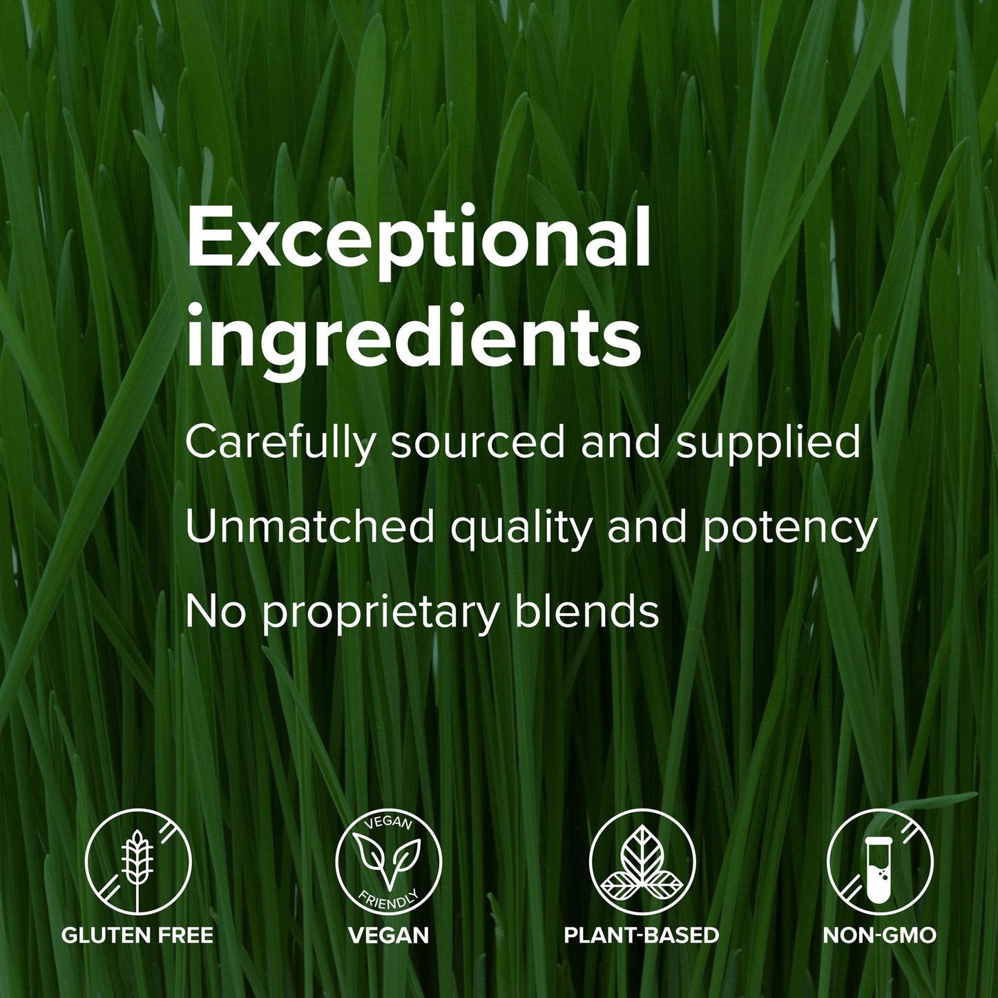 Vibrant Health, Maximum Vibrance, Complete Vegan Meal Shake with Plant-Based Protein