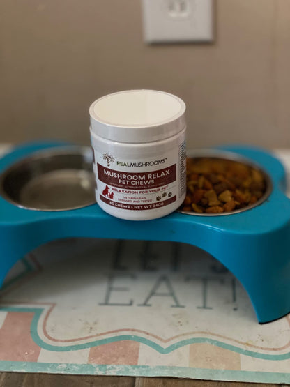 Real Mushrooms Calming Chews for Dogs - Cat Dog Treats w Reishi Lions Mane, Dogs, Relaxation, Bites Pet, 60ct