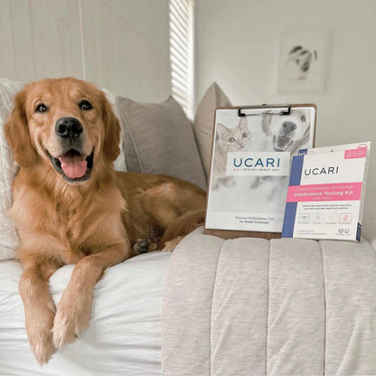 UCARI Pet Sensitivity Test | Screens for 1000+ Intolerances | Food & Environment Analysis | Painless Home Test Hair Sample Method | Results in 48 Hours | Cats & Dogs