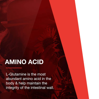PROTOCOL FOR LIFE BALANCE L-Glutamine - Pure Powder - Muscle Tissue, Gut Health and Immune Support - 1 Pound
