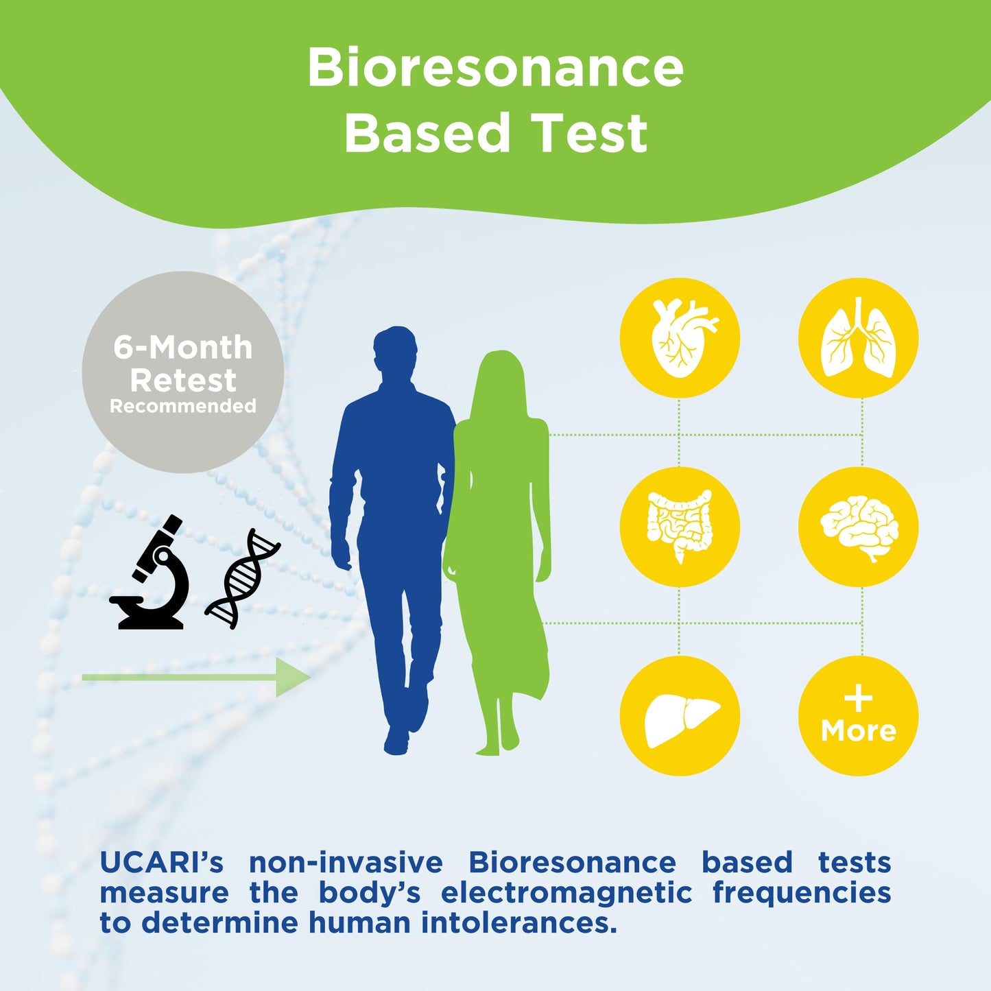 UCARI Sensitivity Test for Humans | Screens for 1500+ Intolerances | Food & Nutritional Analysis | Non Invasive Home Test Hair Sample Method | Results in 48 Hours | Adults & Kids