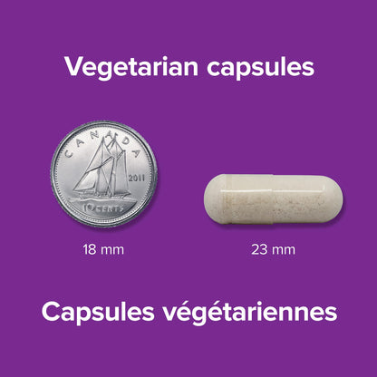 Webber Naturals Ashwagandha + Magnesium, 120 Capsules