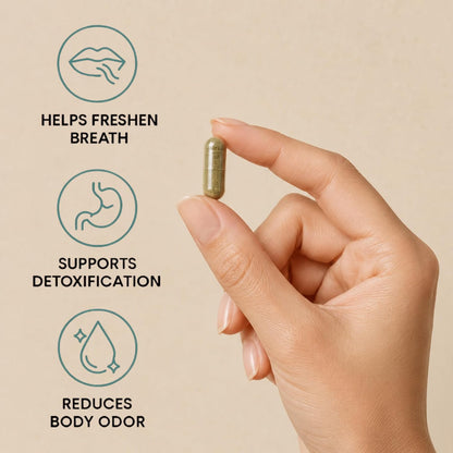 Nuray Internal Deodorant Supplement | Natural Chlorophyll 30 Capsules for Body Odor Control, Gut Health, and Fresh Breath | Vegan, Detox Support, & Skin Health | Odor Eliminator for Men & Women