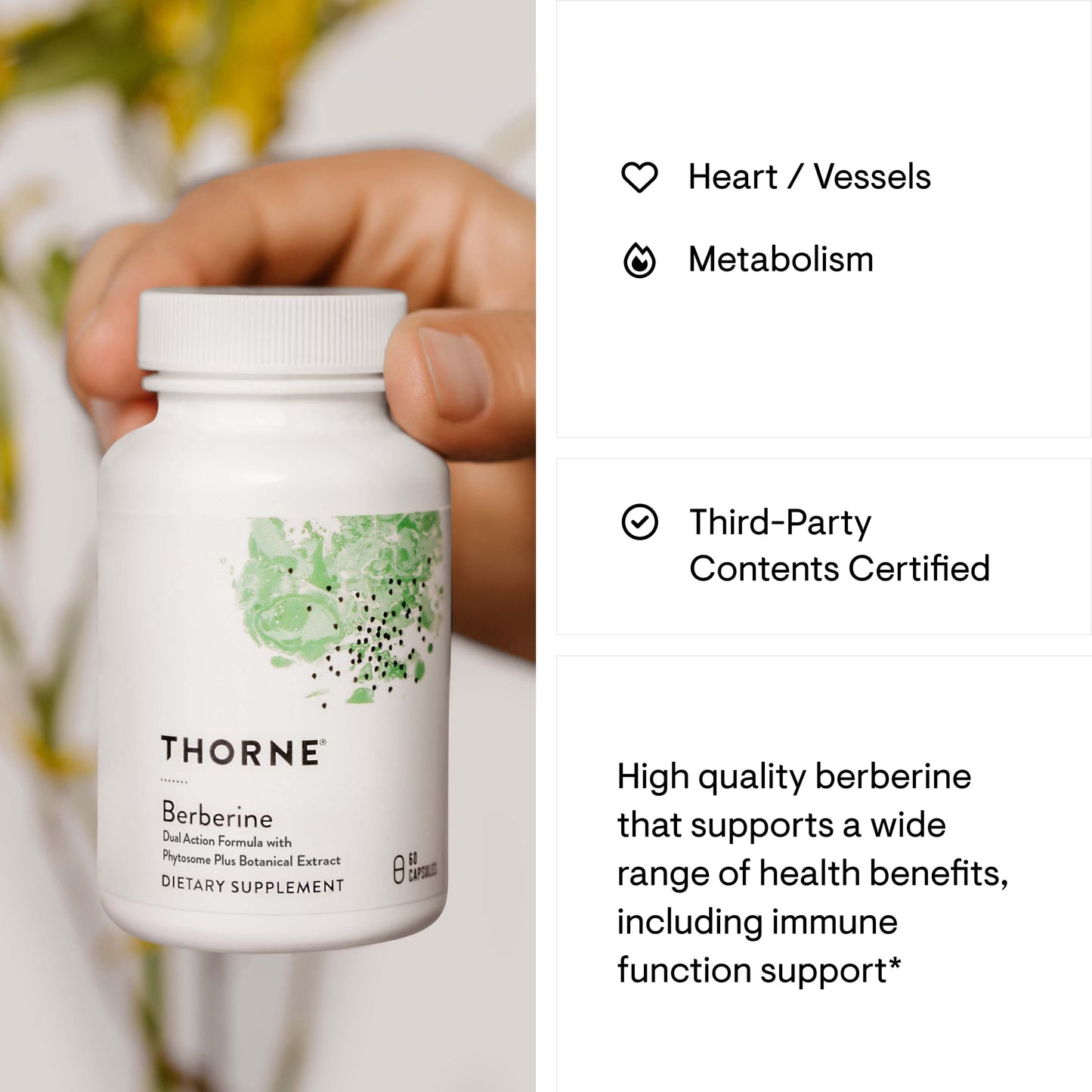 THORNE Berberine - Dual Action Formula with Phytosome Plus Botanical Extract - Support Heart Health, Immune System, Healthy GI, Cholesterol* - Gluten-Free, Dairy-Free - 60 Capsules - 30 Servings