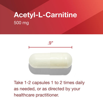 Protocol Acetyl- L-Carnitine 500mg - Energy Supplement, Nerve, and Brain Support - 100 Veg Caps