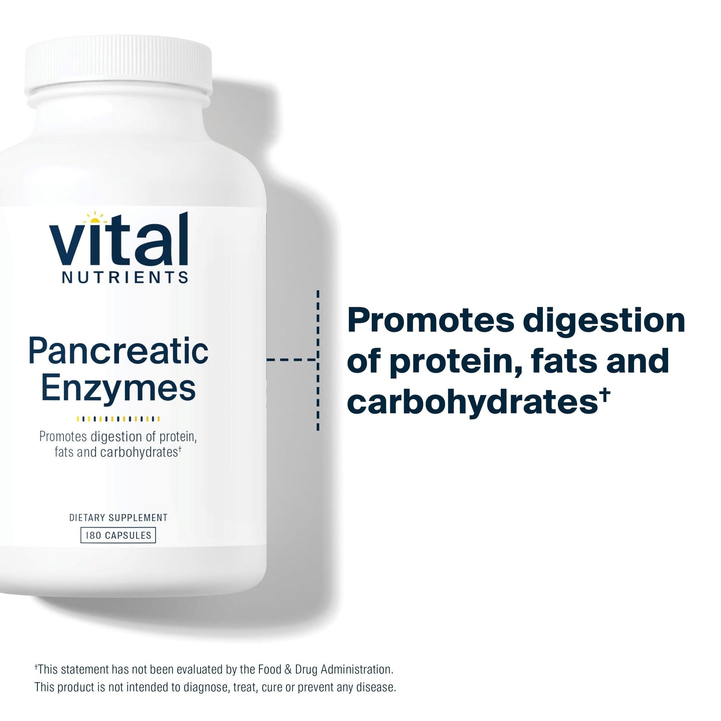 Vital Nutrients Pancreatic Enzymes 1000mg (Full Strength) | Pancreatin Digestion Supplement with Protease, Amylase & Lipase | Digestive Enzymes | Gluten, Dairy, and Soy Free | 180 Capsules