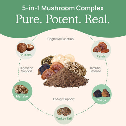 Real Mushrooms 5 Defenders Powder - Organic Mushroom Extract w/Chaga, Shiitake, Maitake, Turkey Tail, & Reishi - Mushroom Supplement for Brain, Focus, & Immune Support - Vegan, Non-GMO, 100 Servings