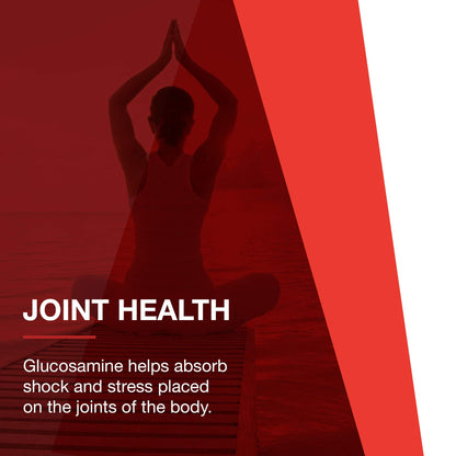 Protocol Glucosamine & Chondroitin with MSM - Joint Support* - Chondroitin MSM Supplement - Non-GMO & Dairy Free - 180 Veg Caps
