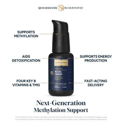 Quicksilver Scientific Methyl Charge - Methylation, Liver, Detox + Energy Supplement - Folate, Vitamin B12, Riboflavin, Vitamin B6 + TMG Supplement with Superior Absorption - Vegan B Vitamins (50ml)