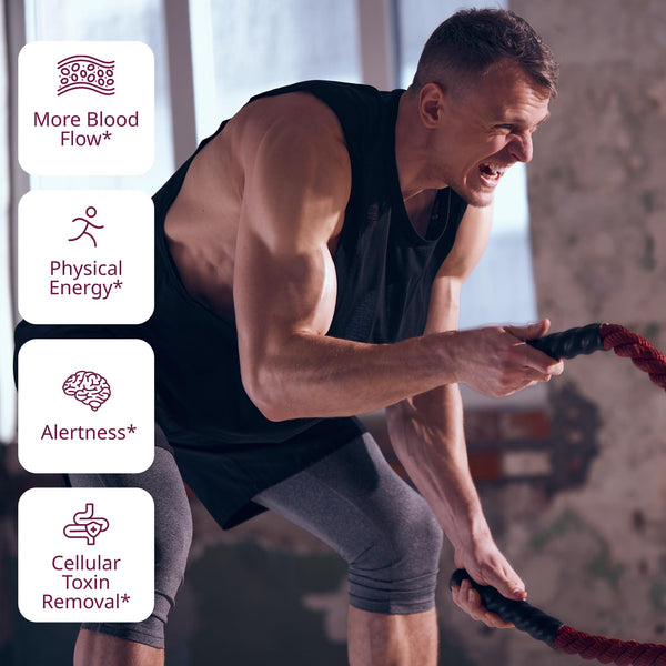 VINIA Resveratrol Heart Chews. Nitric Oxide, Blood Flow & Circulation Support | Heart Health Energy Supplement | Non-GMO, Sugar Free & Gluten Free, Grape Flavor, 30 Count