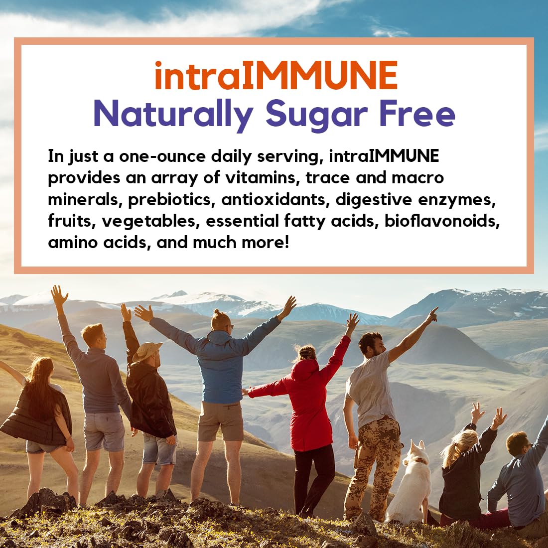 Drucker Labs -IntraIMMUNE Organic Liquid Daily Immune & Defense Support, Multivitamin, Elderberry, Echinacea, Zinc, Vitamin D, C E, Vegan, Non GMO, Gluten Free (32 oz., Sugar Free Peach Berry)