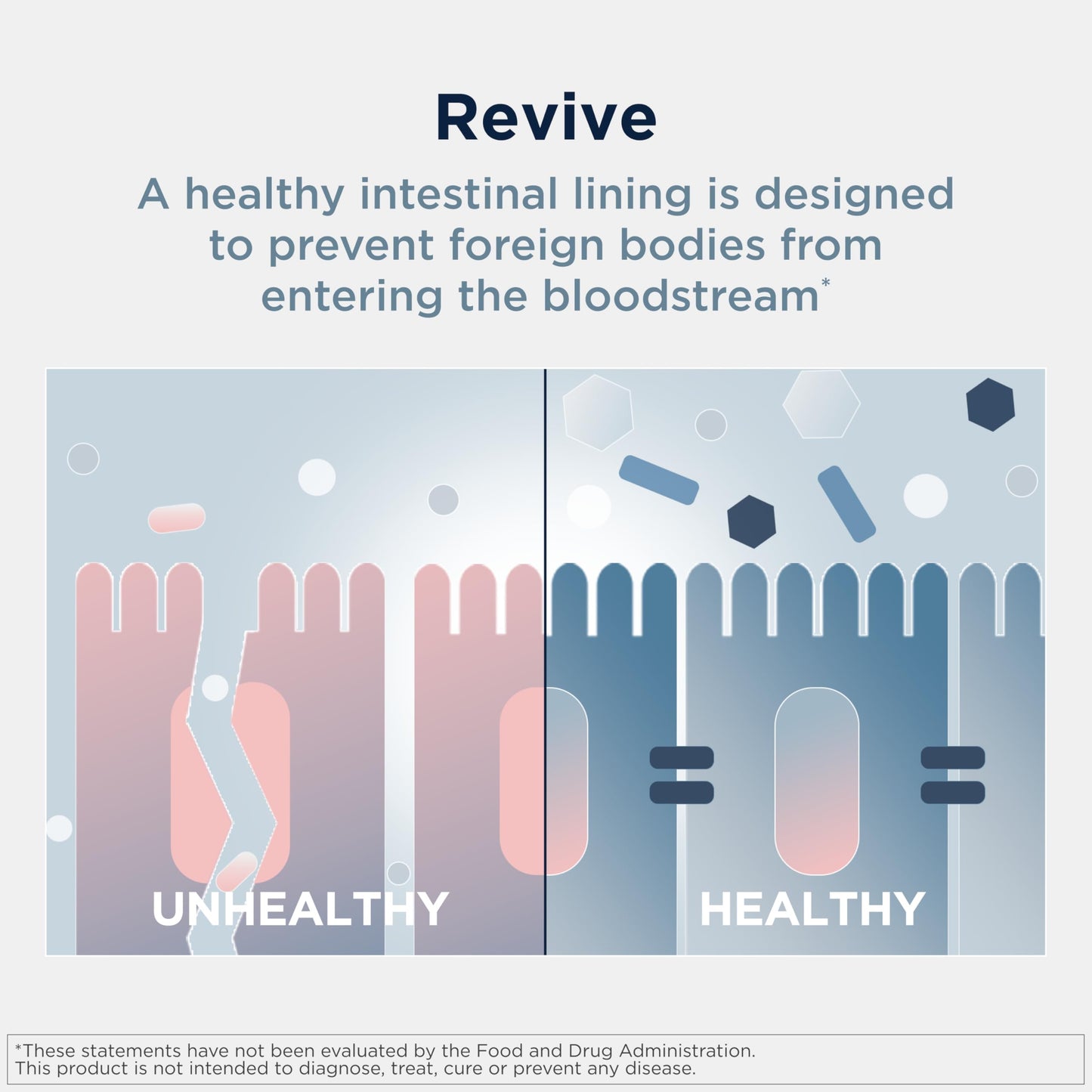 Designs for Health GI Revive Gut Health Powder - L Glutamine & Citrus Pectin for Digestive Health + Slippery Elm, Marshmallow Root & Cat's Claw for Healthy Intestinal Function (28 Servings)