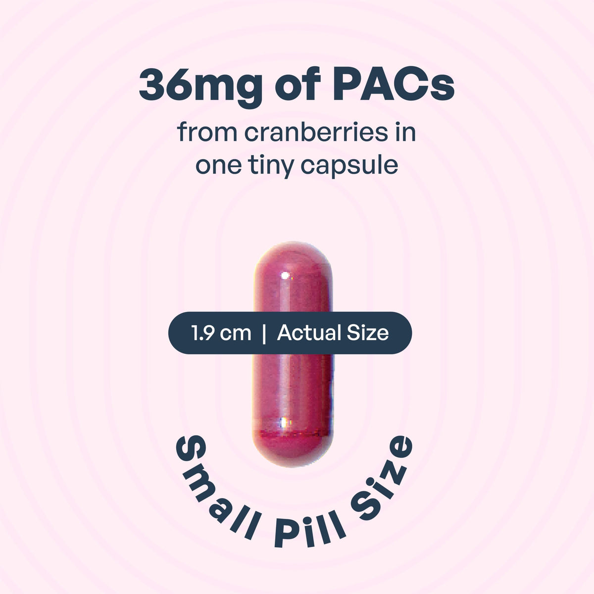 Utiva UTI Control Cranberry PACs 36 mg, Daily UTI Support, 30 Capsules