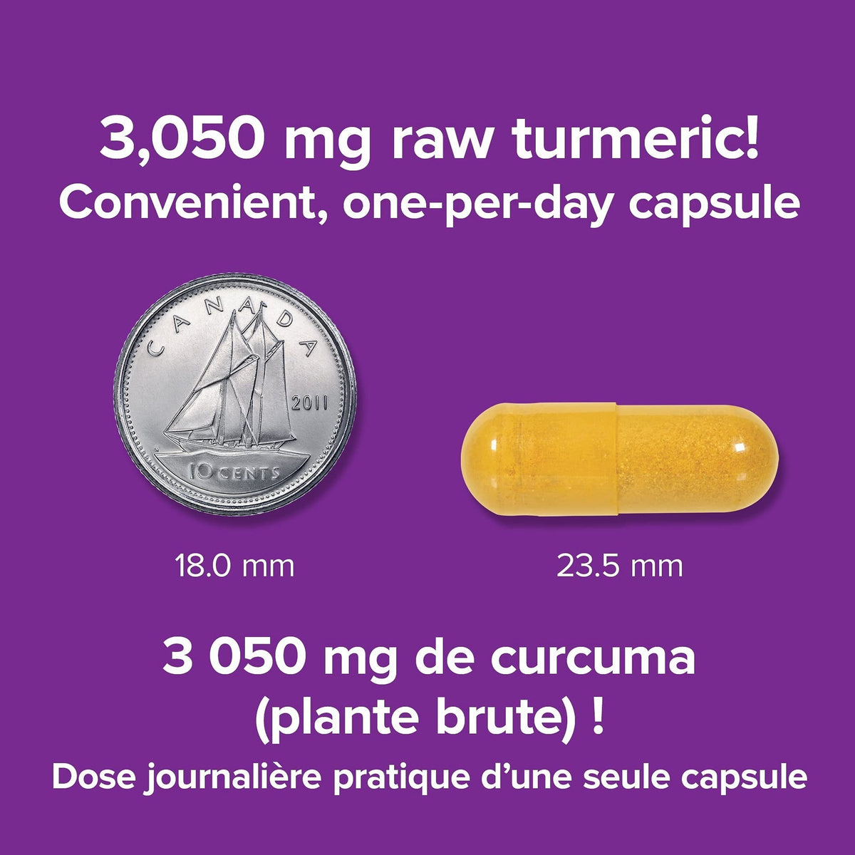 Webber Naturals Turmeric Curcumin, 95% Curcuminoids, 120 Capsules, Anti-Inflammatory Support, Vegan