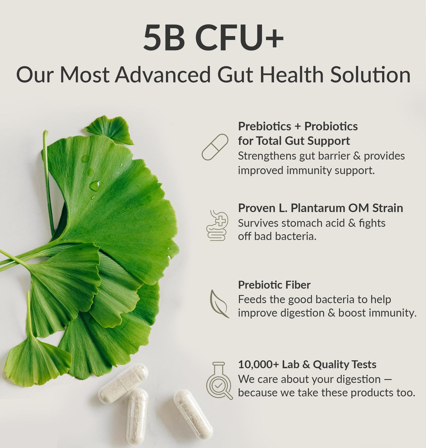BIOptimizers Probiotic Breakthrough, Proteolytic Prebiotics & Probiotics Supplement – Lactobacillus Plantarum OM for Immune, Bloating & Gut Relief Support, 30 Vegan Capsules