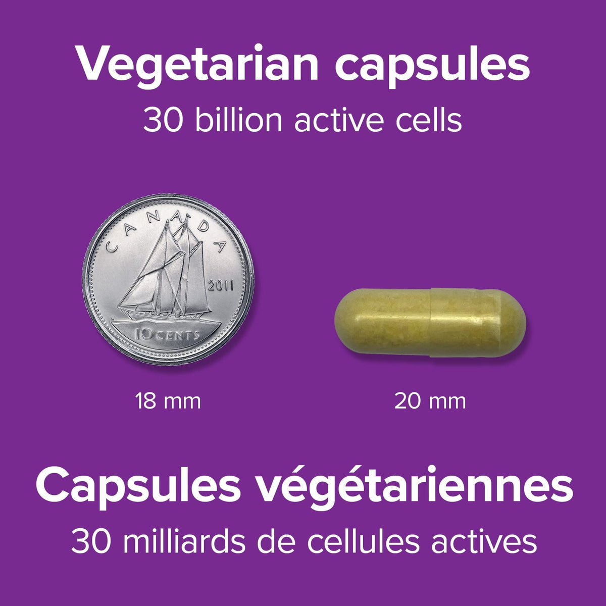 Webber Naturals Probiotic Max IBS Support, 30 Billion Active Cells, 5 Probiotic Strains, 45 Capsules, Helps Reduce Symptoms of Irritable Bowel Syndrome, Vegetarian