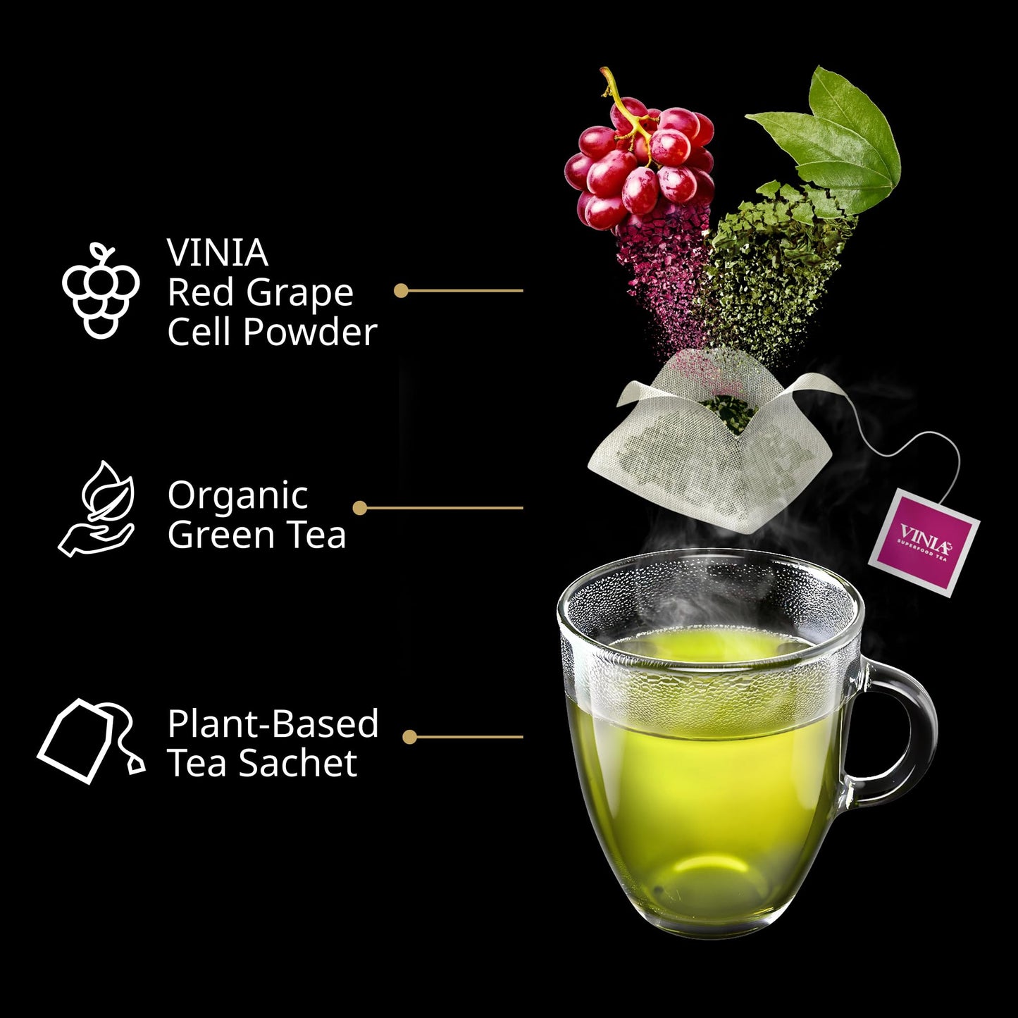 VINIA Signature Green Tea Bags, Made with Organic Green Tea, Infused with Piceid Resveratrol for Heart Health, Nitric Oxide, Physical Energy, Alertness, Blood Flow, Keto, Kosher, Non-GMO. (30)