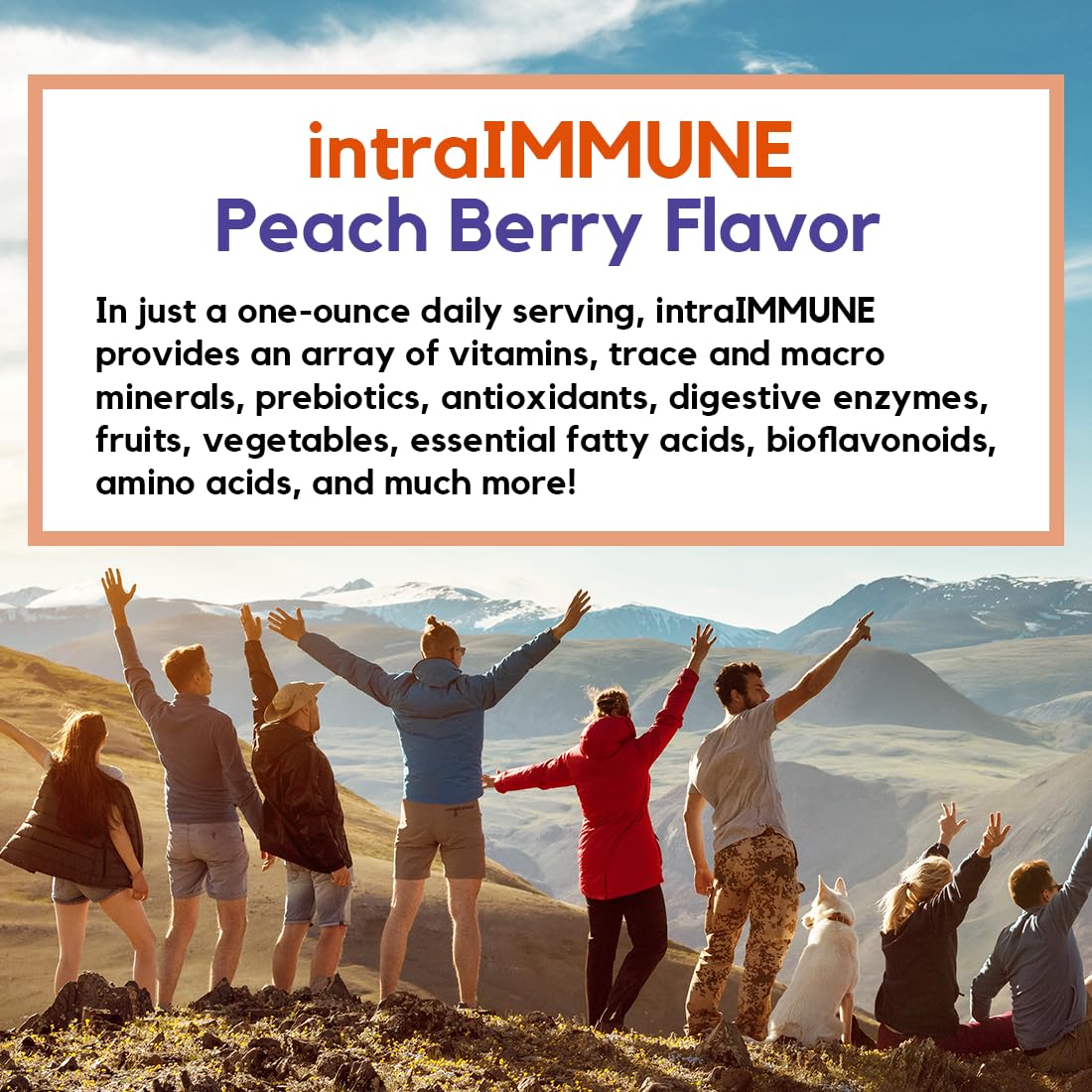 intraIMMUNE DRUCKER Labs Organic Liquid Daily Immune & Defense Support, Multivitamin, Elderberry, Echinacea, Prebiotics, Zinc, Vitamin D, C E, Vegan, Non GMO, Gluten Free (32 oz., Peach Berry)