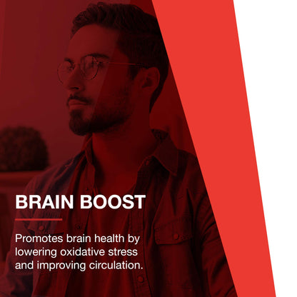 Protocol Brain Regain - Brain Support* - with Phosphatidylserine - Brain Health Supplement* - Vascular Health - 90 Veg Caps