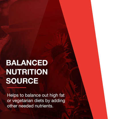PROTOCOL FOR LIFE BALANCE L-Carnitine 500mg - Cell Energy Metabolism - Exercise Performance, Recovery - 60 Veg Caps