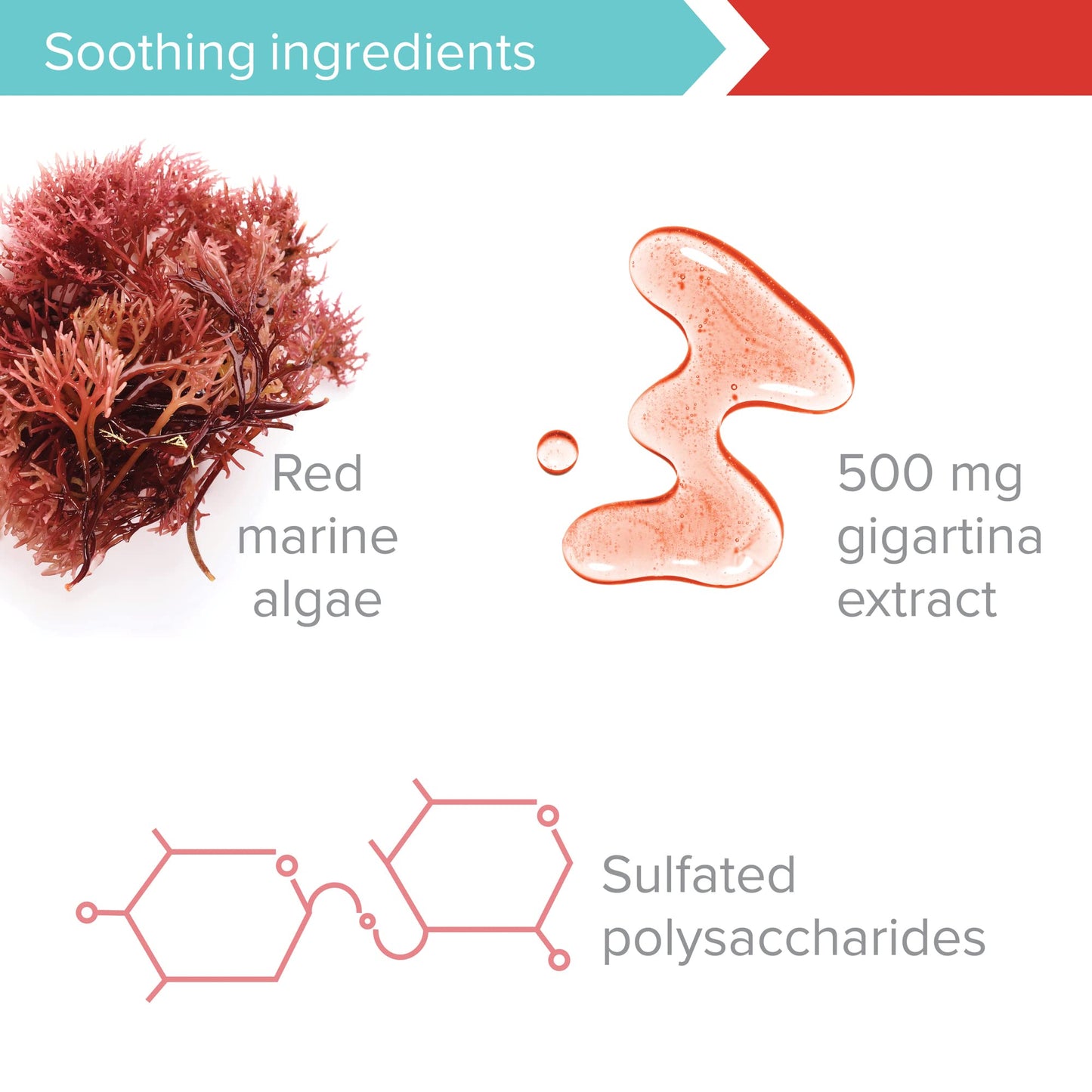 Vibrant Health, Gigartina Red Marine Algae, Plant-Based Immune Support, 60 Capsules (FFP)