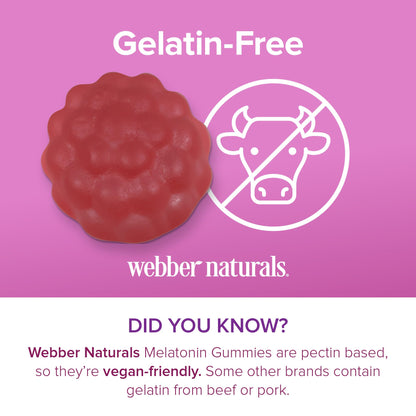Webber Naturals Melatonin 10 mg Gummy, 100 Gummies, Value Size