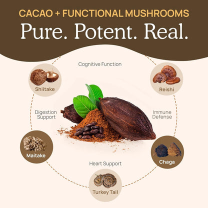 Real Mushrooms Unsweetened Organic Hot Chocolate Mix with 5 Defenders Turkey Tail, Chaga, Maitake, Shiitake, Reishi Mushroom - Cacao Powder Vegan Supplement, 15 Servings